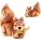 Veveritele jucause, Set 2 pusculite